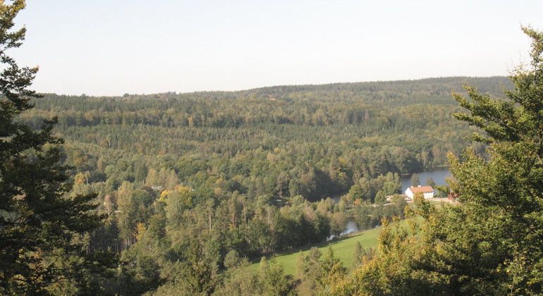 Utsikt från toppen, vi ser öppna ytor men mest skog. 