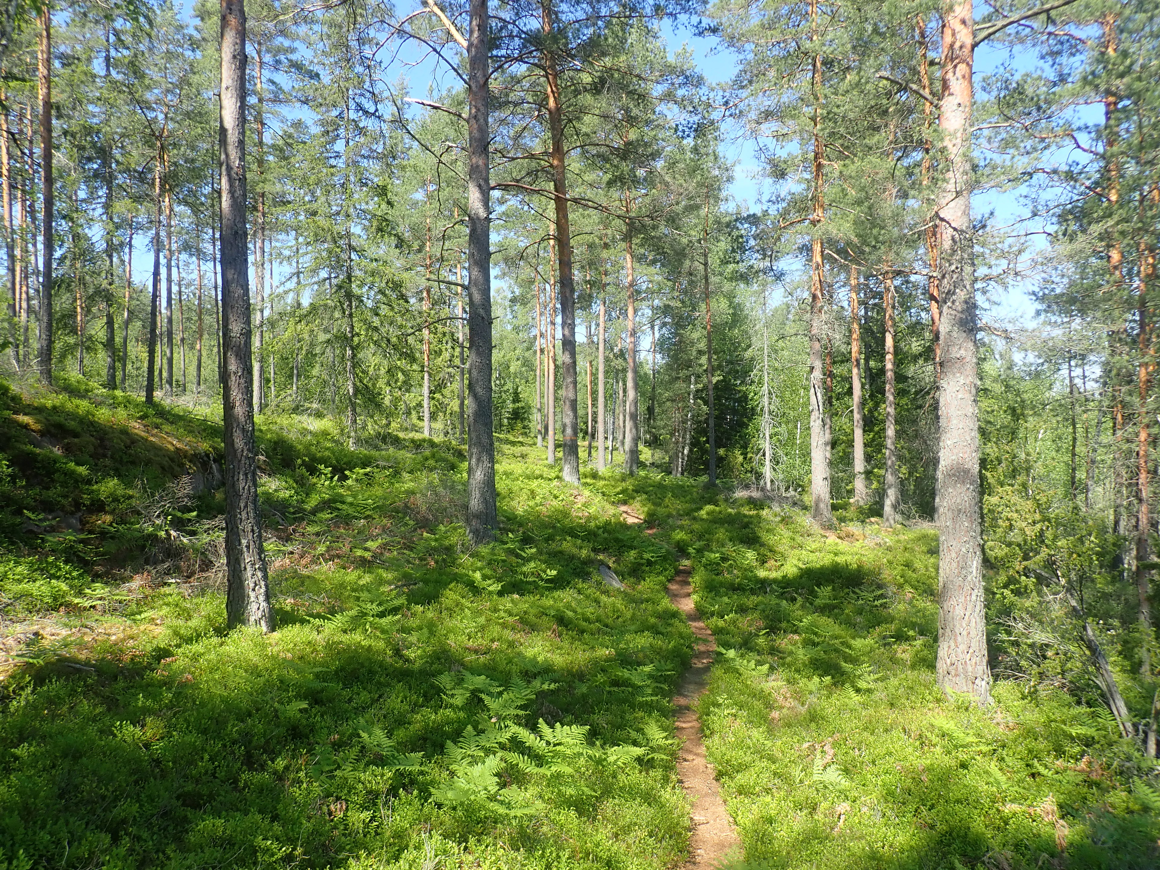 Svarteström – Lunds by – Valstad kvarn, Tjustleden etapp 3