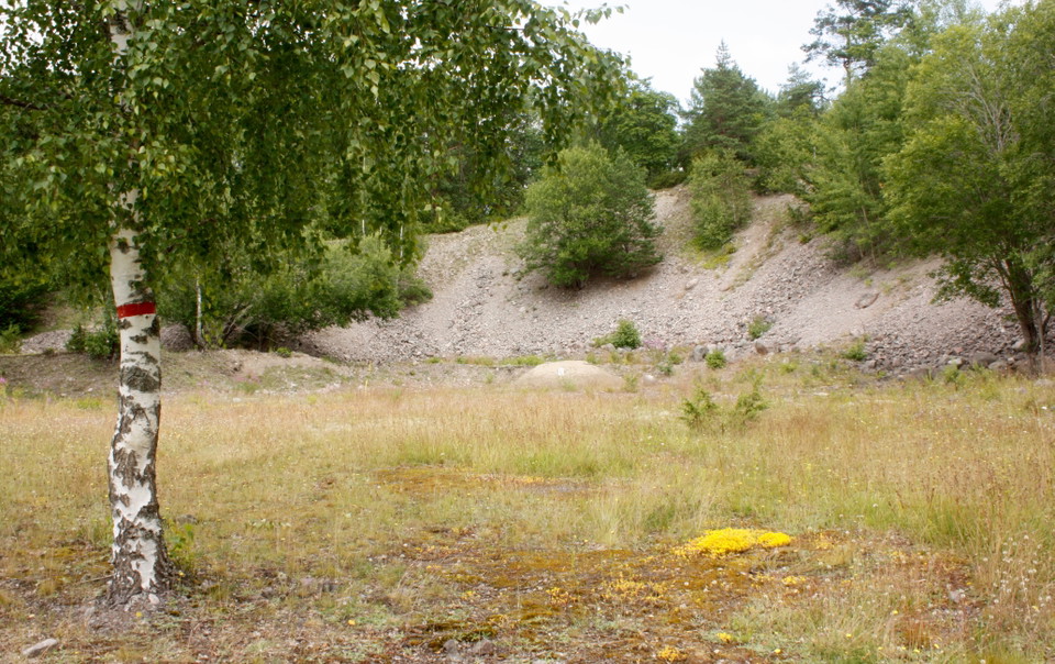 På en brant, stenig ås växer flera träd.