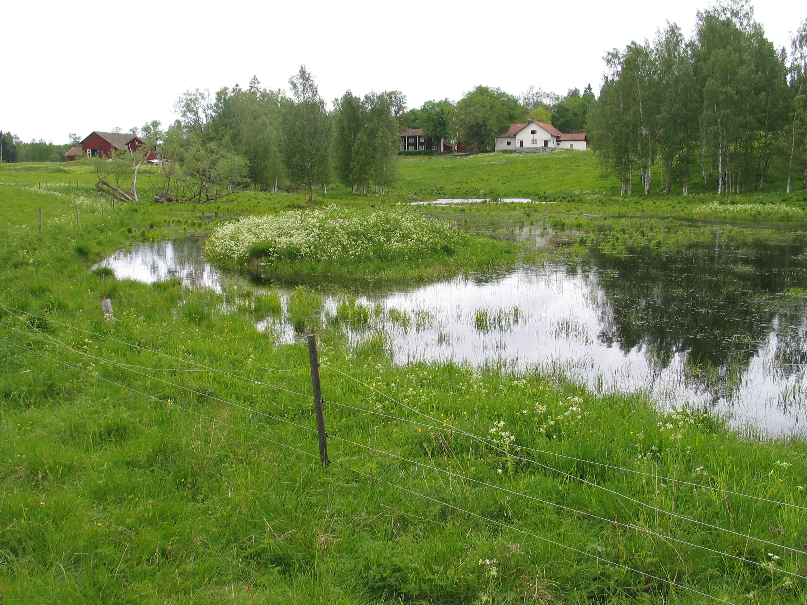 Igenvuxen sjö.