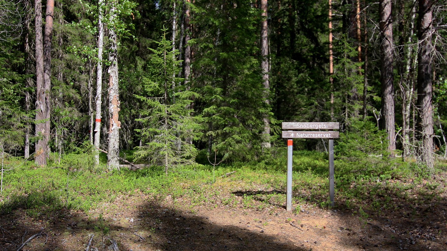 En träskylt och en röd markering i kanten av en skog.