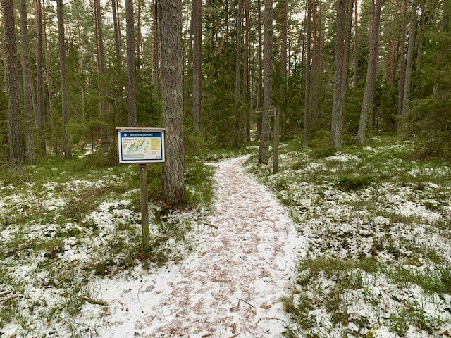 Från parkeringen leder en stig till rikkärret.