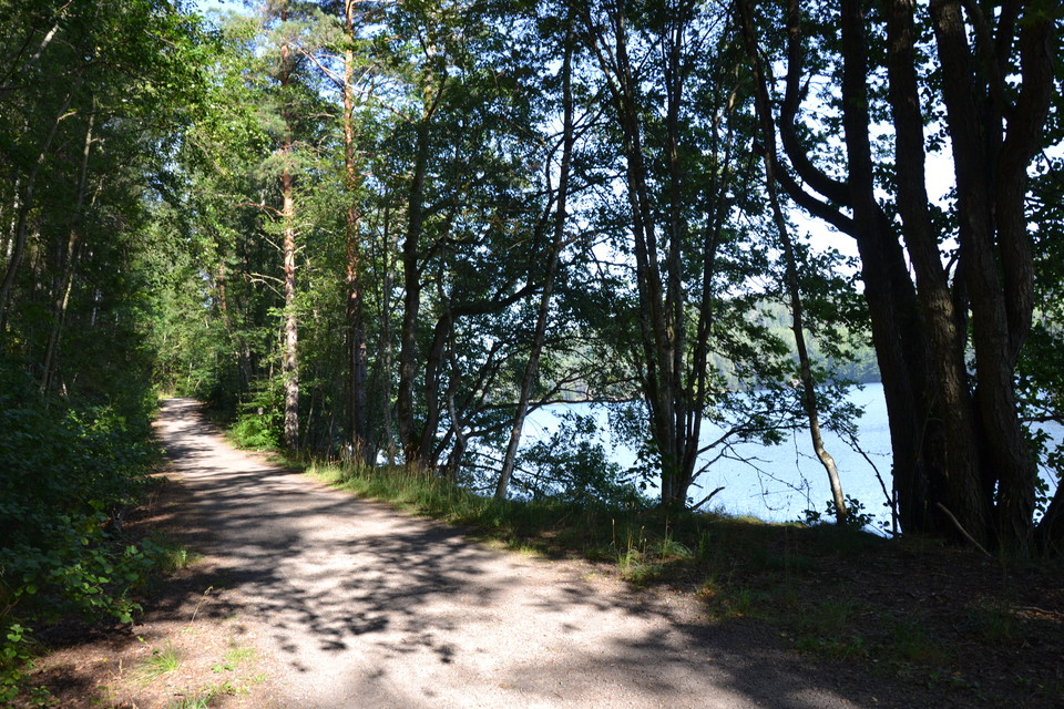 Längs Ågelsjöns västra sida följer leden en skogsväg.