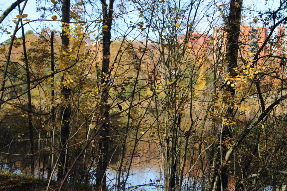 Lappkärret.
