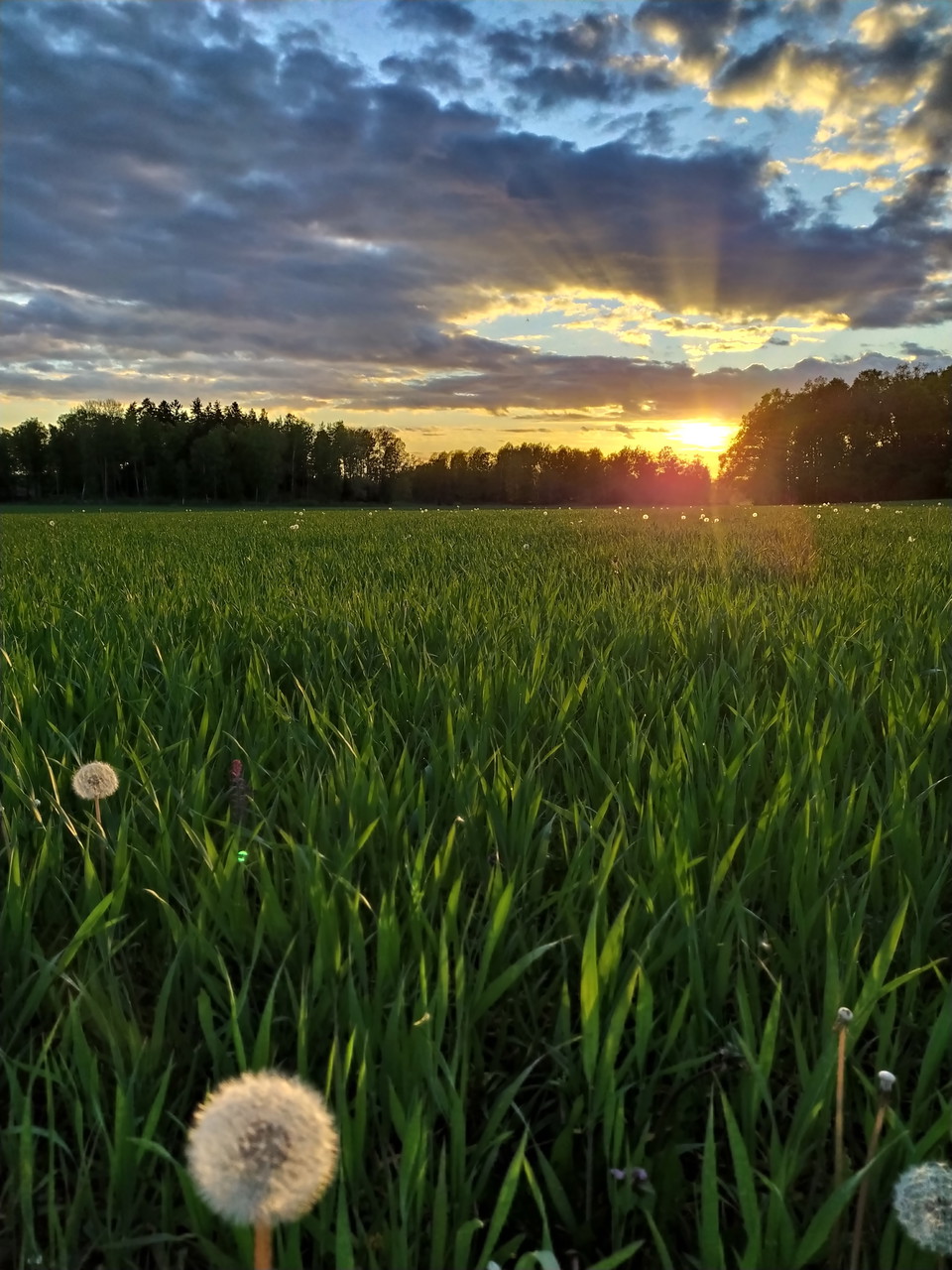 Solnedgång i Västra Ekeby