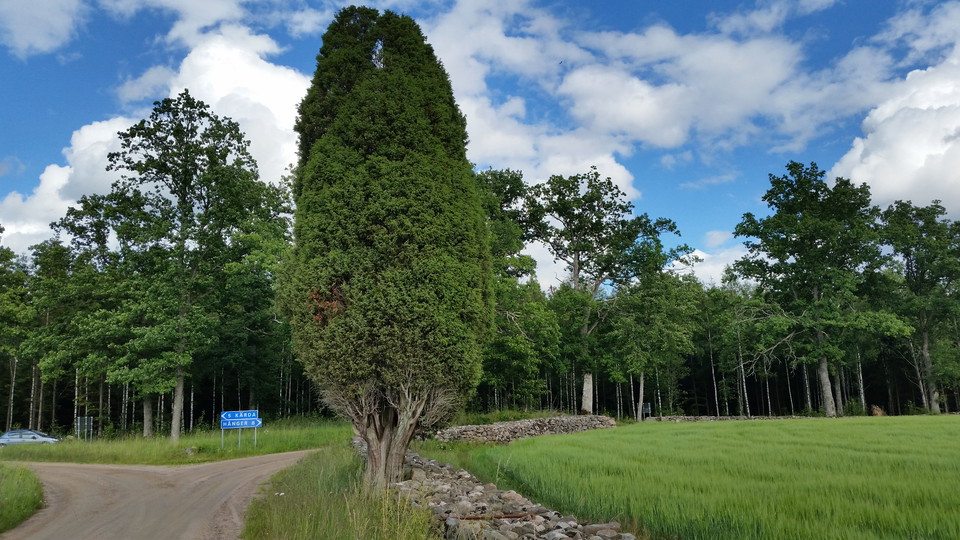 Värnamo kommun
