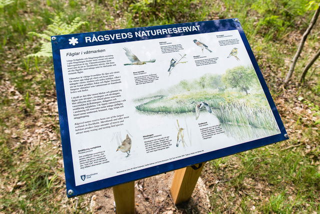 Fågelskådarplats i Rågsveds naturreservat
