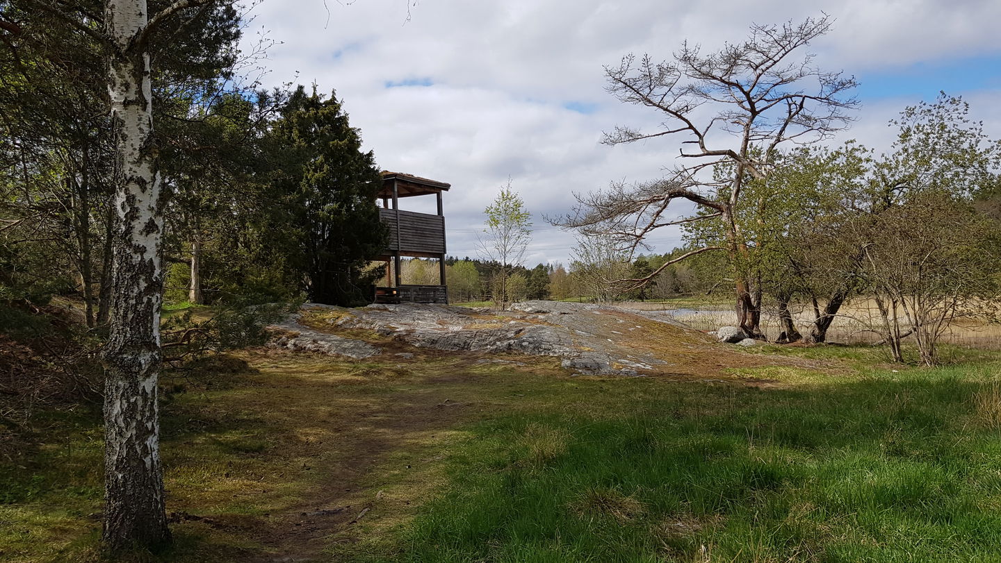 Fågeltornet vid Västra Långängskärret. Foto Lidingö stad