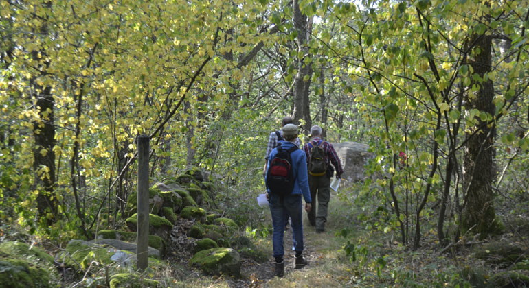 några personer på promenad i reservatet