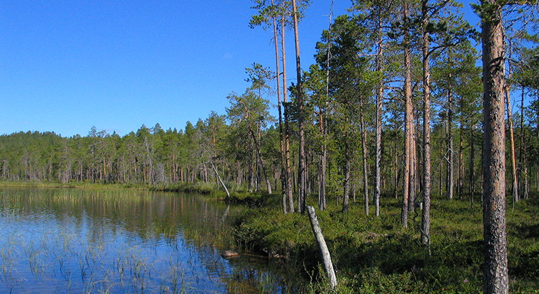 Lillträskberget.