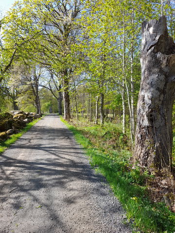 Nabbarundan (blå)