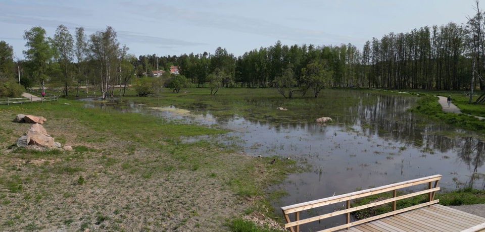 Våtmarken sett från söder