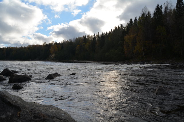 Fiskestigen Dingersjö-Viforsen