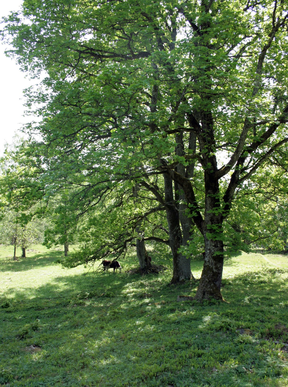 Fotograf: Eva Elfgren