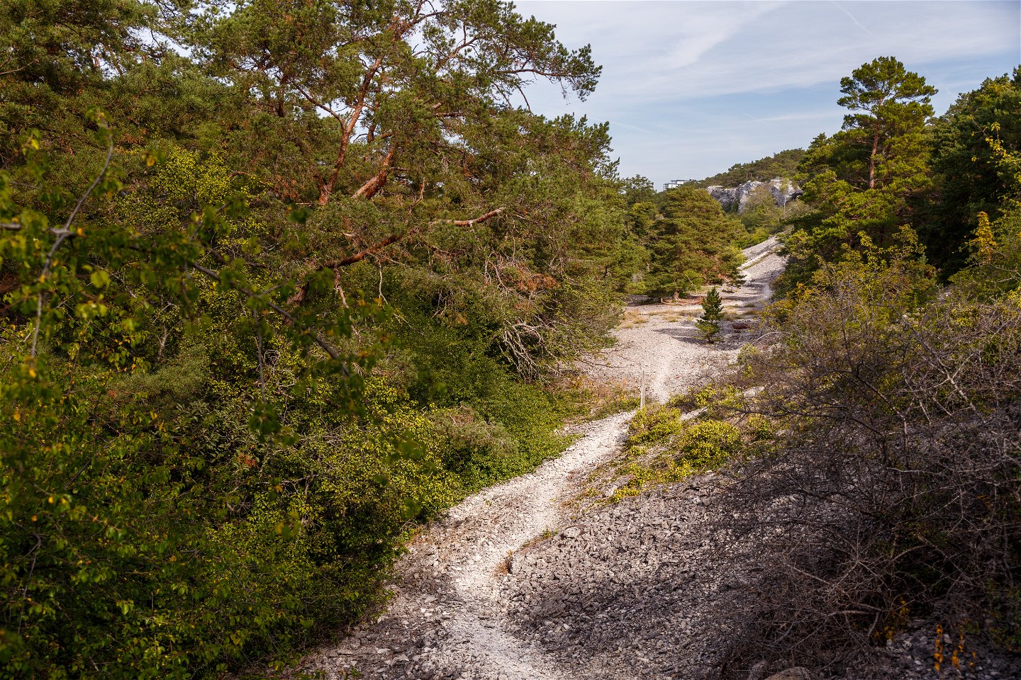 Naturstig i naturreservatet Bergbetningen