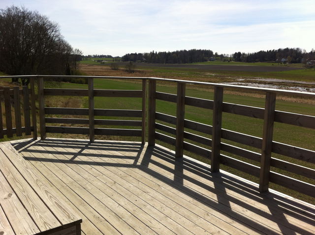 Fågelplattform, Hammarskog