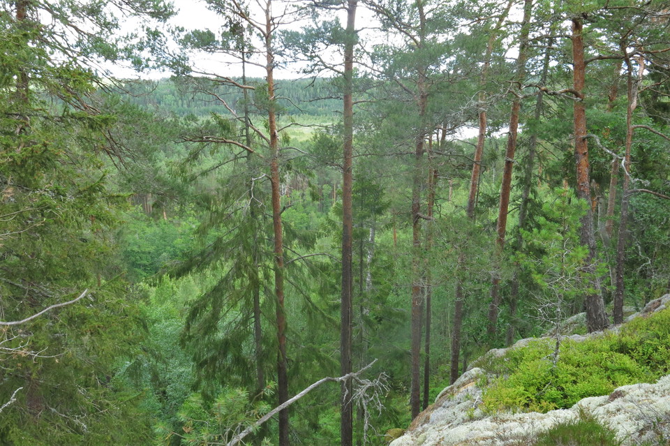 Utsikt över Oxtorpesjön