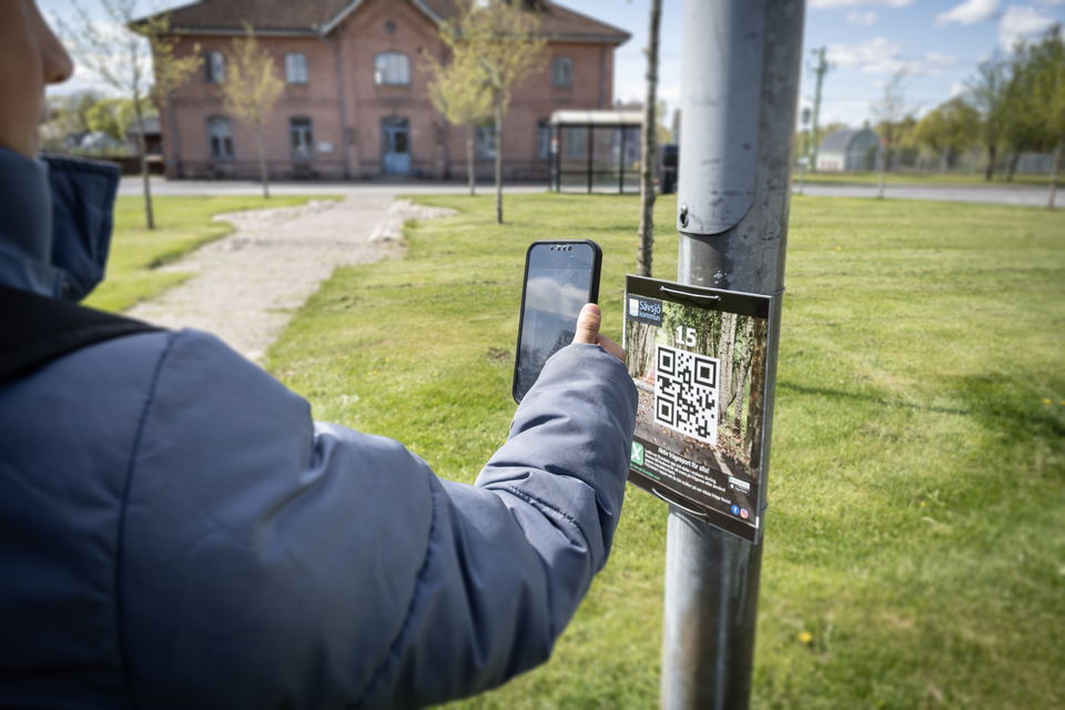 Pojke håller fram mobiltelefon mot tavla med x-rundans qr-kod.