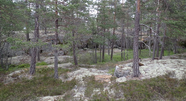 Magsjöberget, Naturreservat