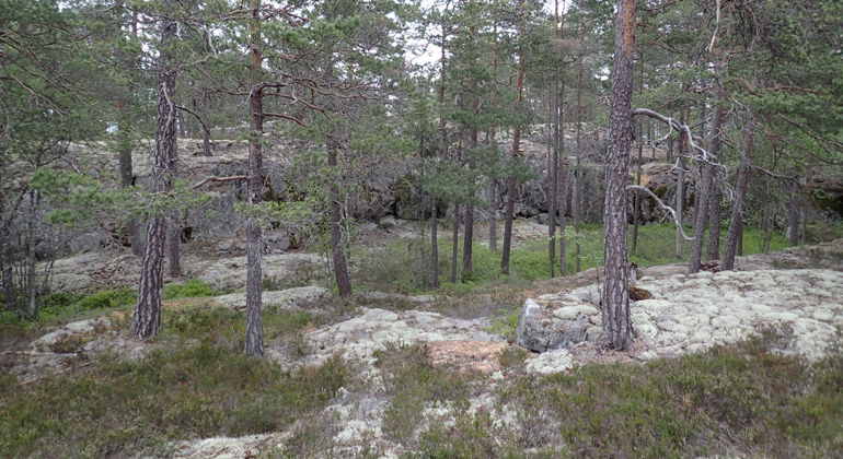 Foto: Per Folkesson