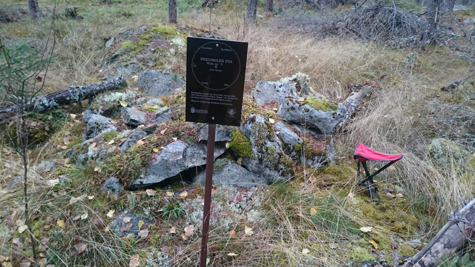 Röse med skylt idag