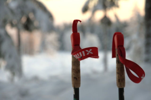 Skalbuspåret 10,7 km