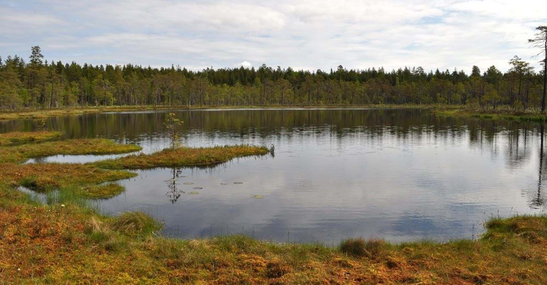 Bymossegöl
Etapp Sydväst Valdemarsvik