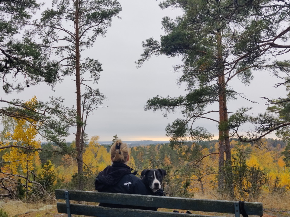 Utsikt från platsen
