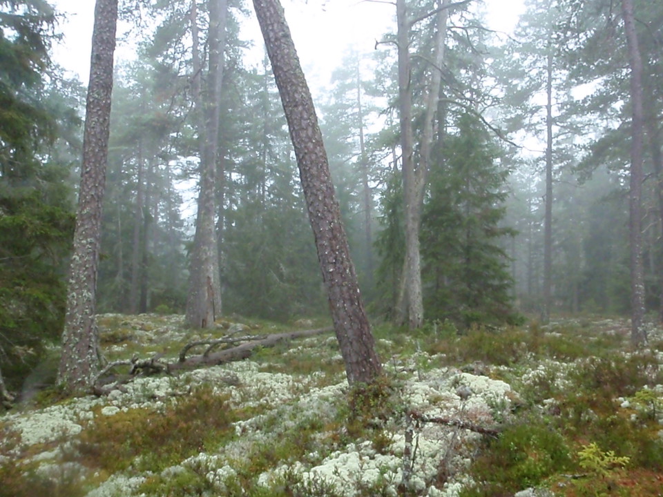Länsstyrelsen