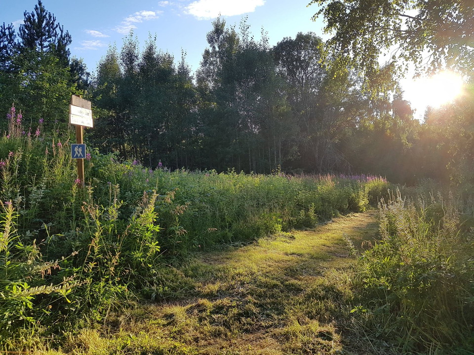 Lillbo-Långsboleden