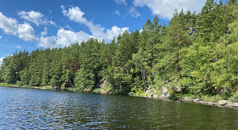 Högön.