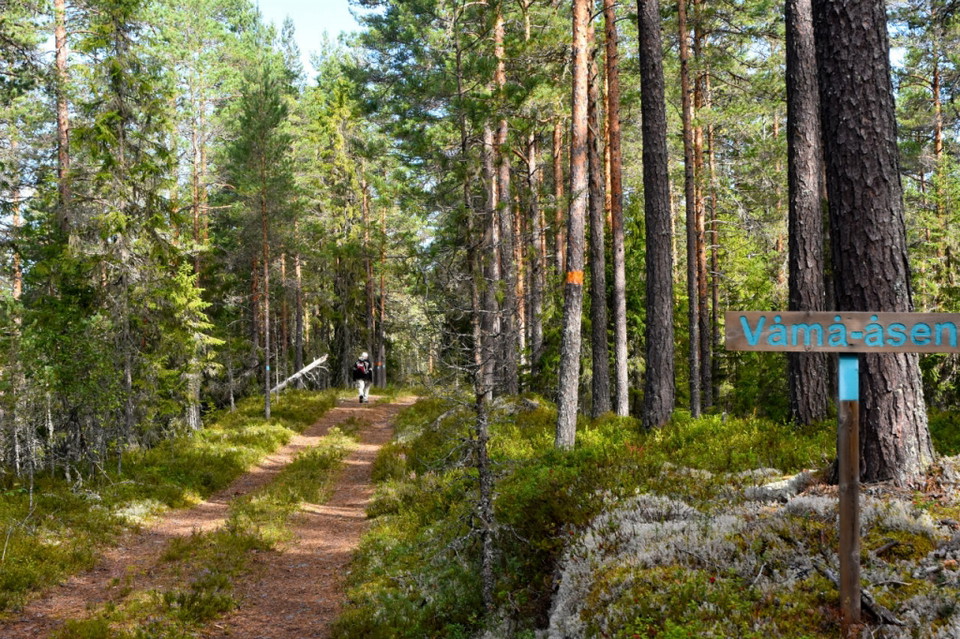Härlig start utmed Våmån på Våmåsen.
