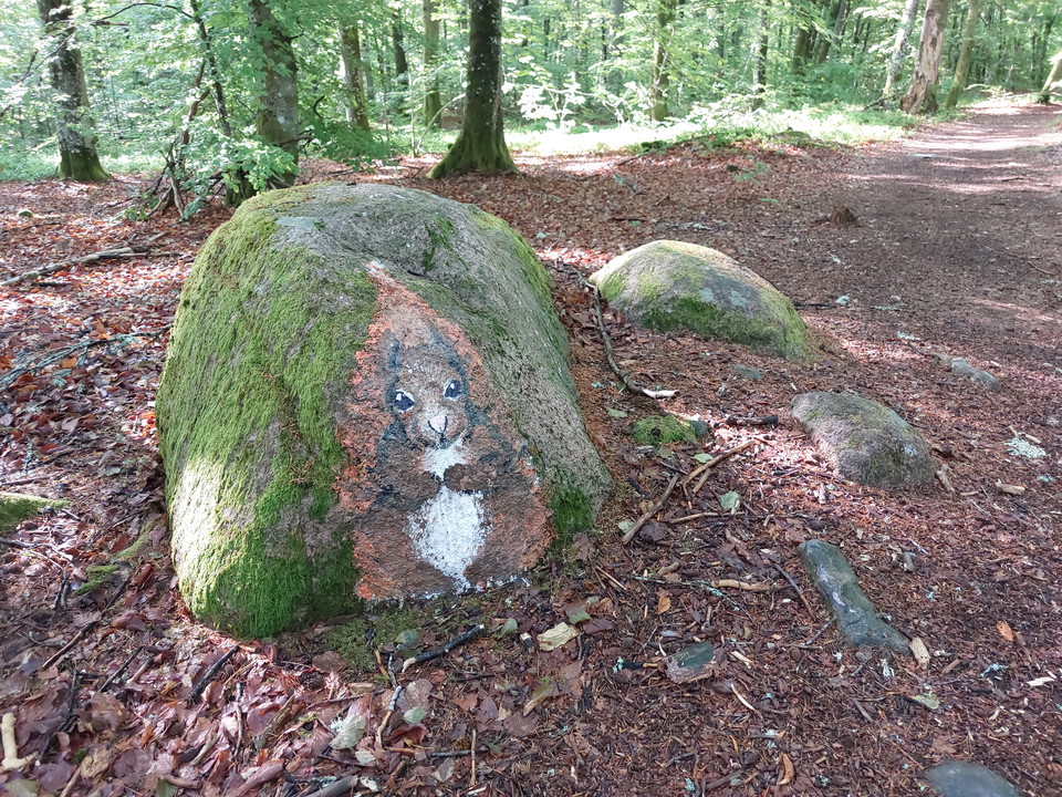 Av konstelev Görel Korner