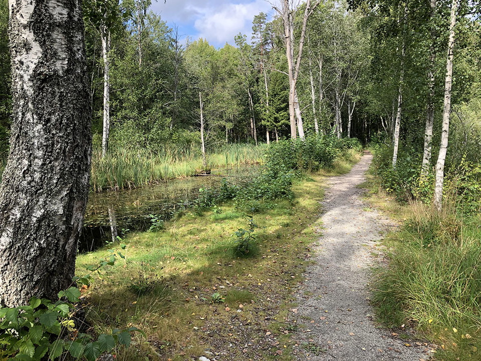 Grusad stig längs med kanal.
