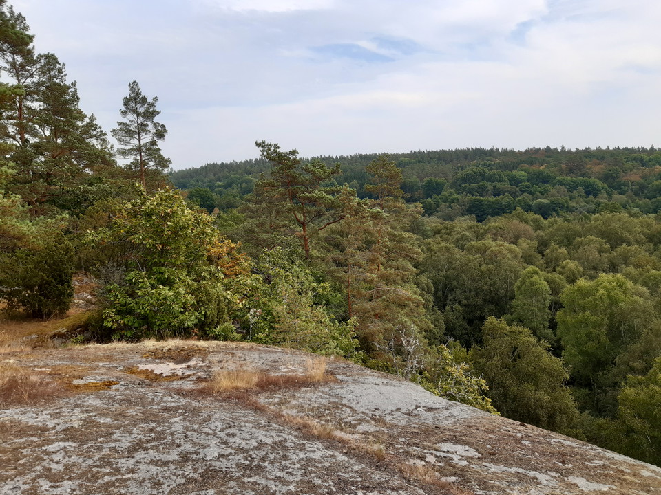 på Valberget.