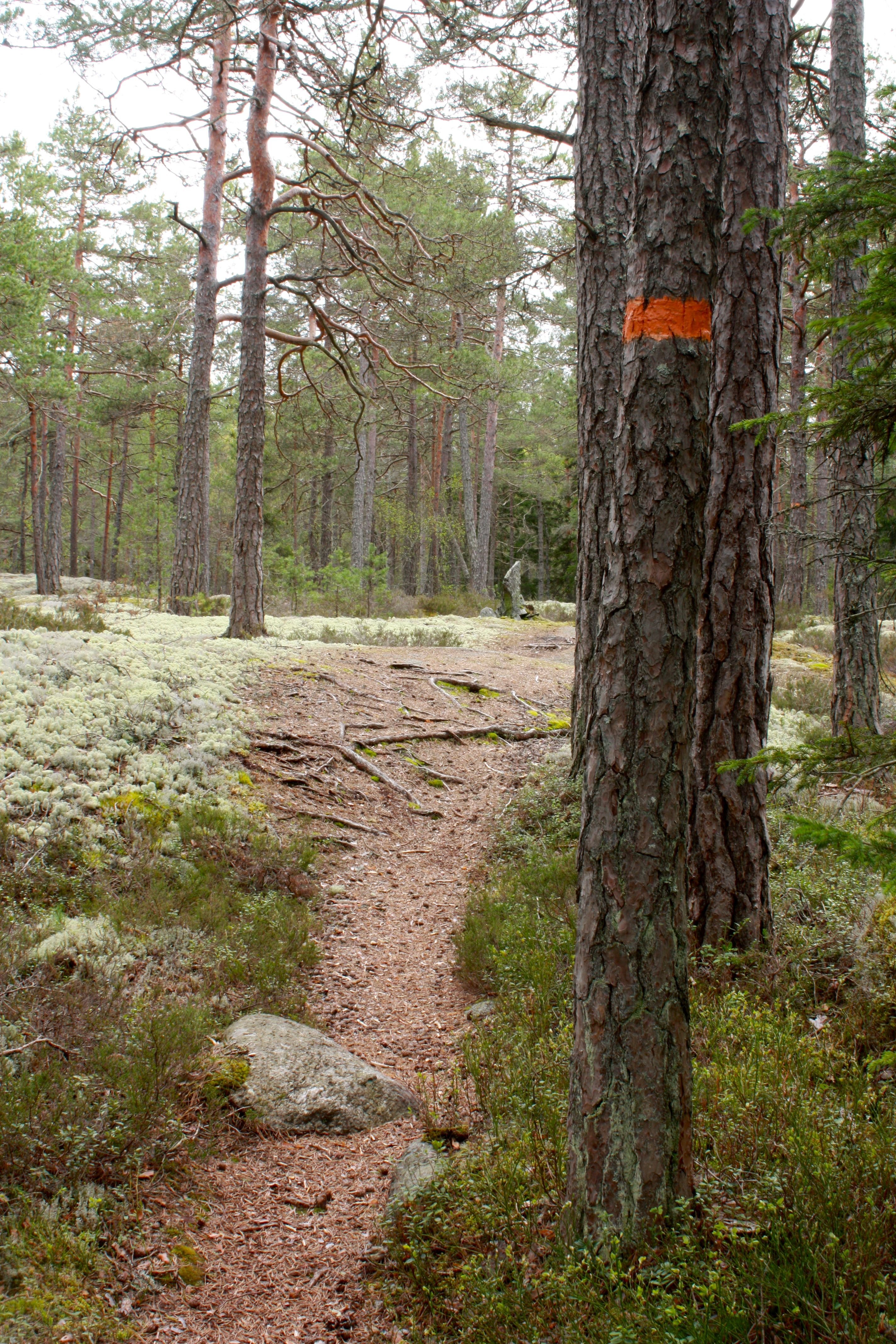 The Uppland Trail, Section 1:1, 13.5 kilometres