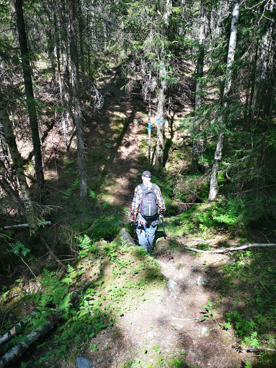 En av bäckravinerna mellan Stömnesvallen och Råbergsvallen