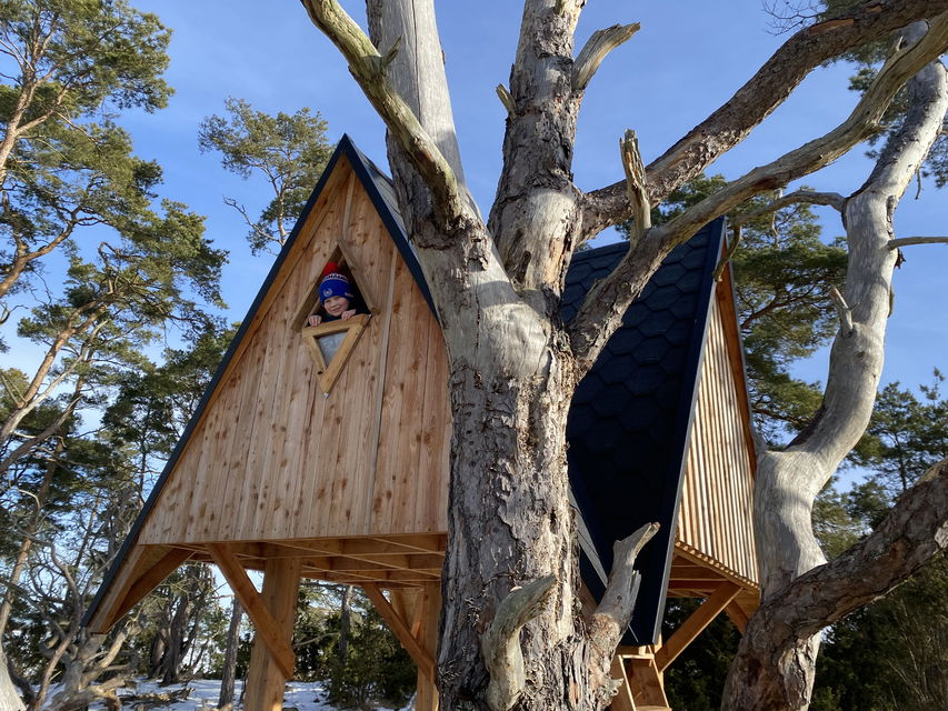 Pojke tittar ut ut lucka på vindskydd