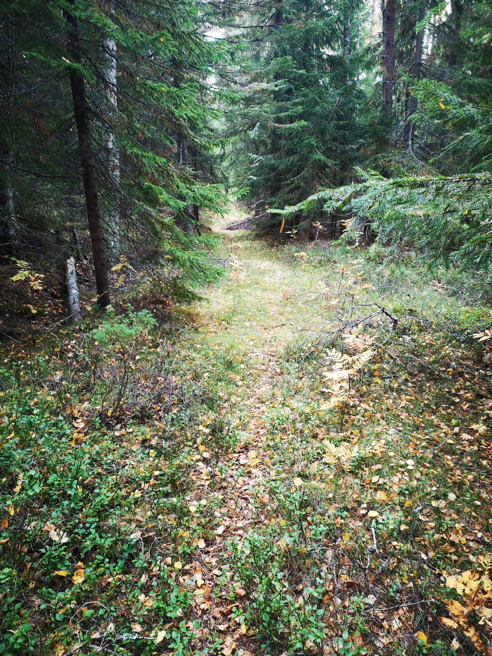 Otydlig led före och efter Prästvallen