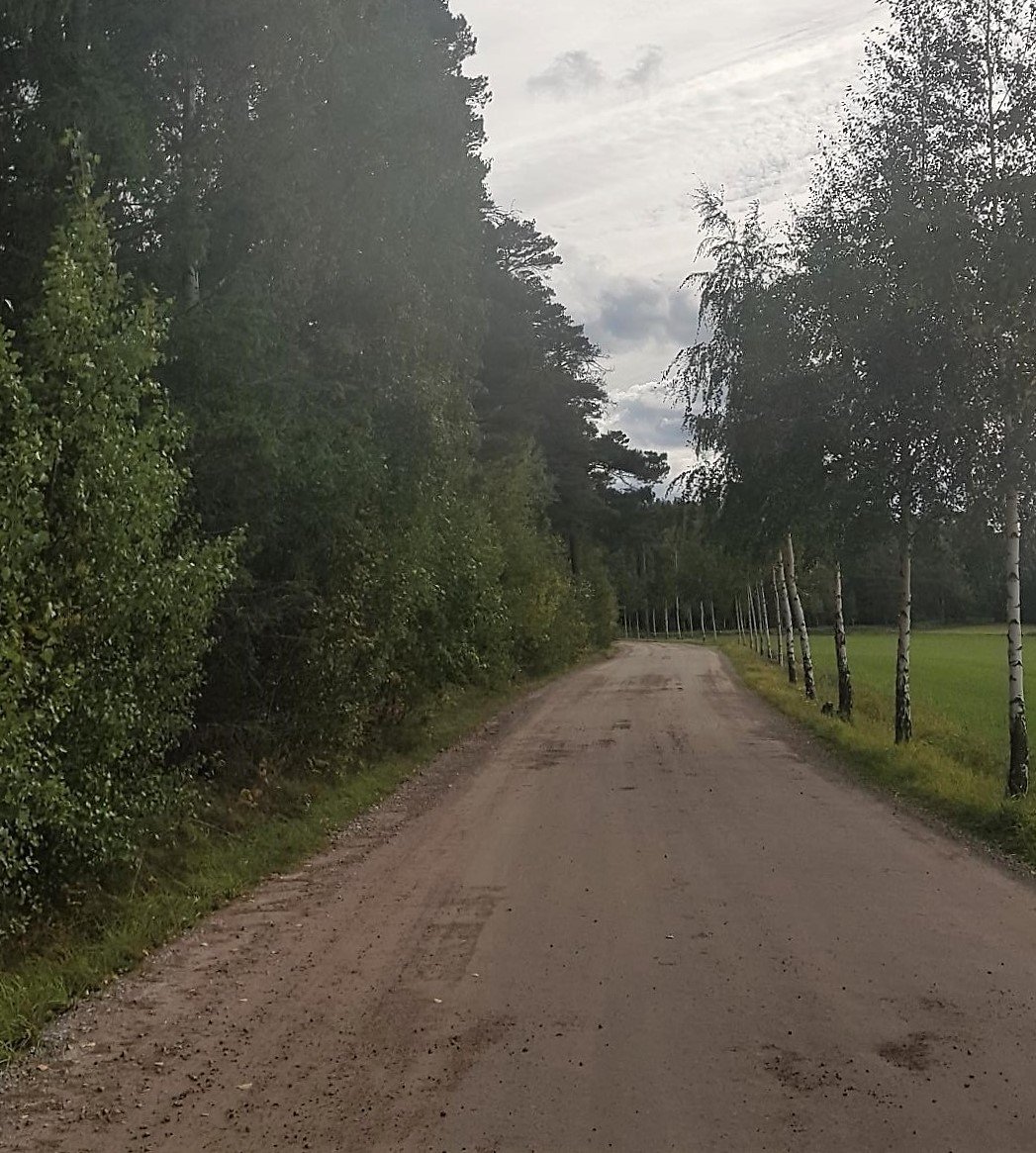 Stråket utmed Antunavägen mot Antuna Gård.