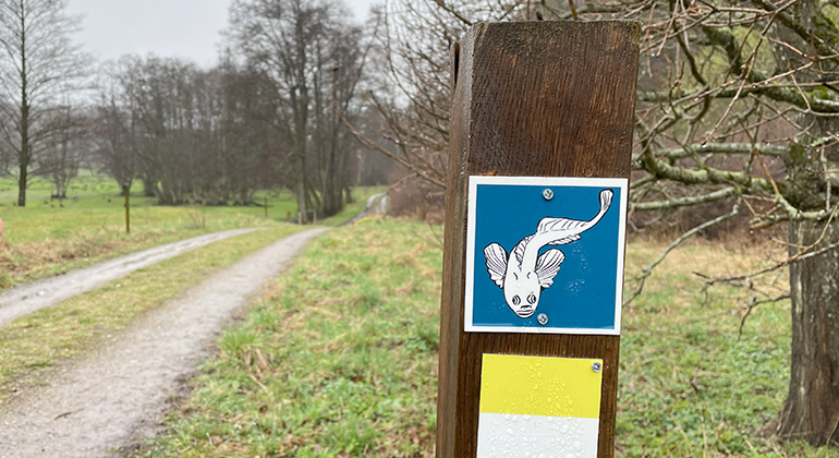 Stensimpeleden.