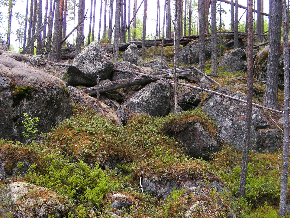Stenig terräng