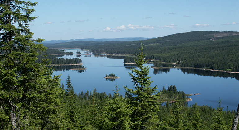 Trugåsen, Naturreservat