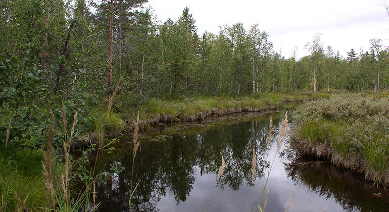 Hattbäcken.