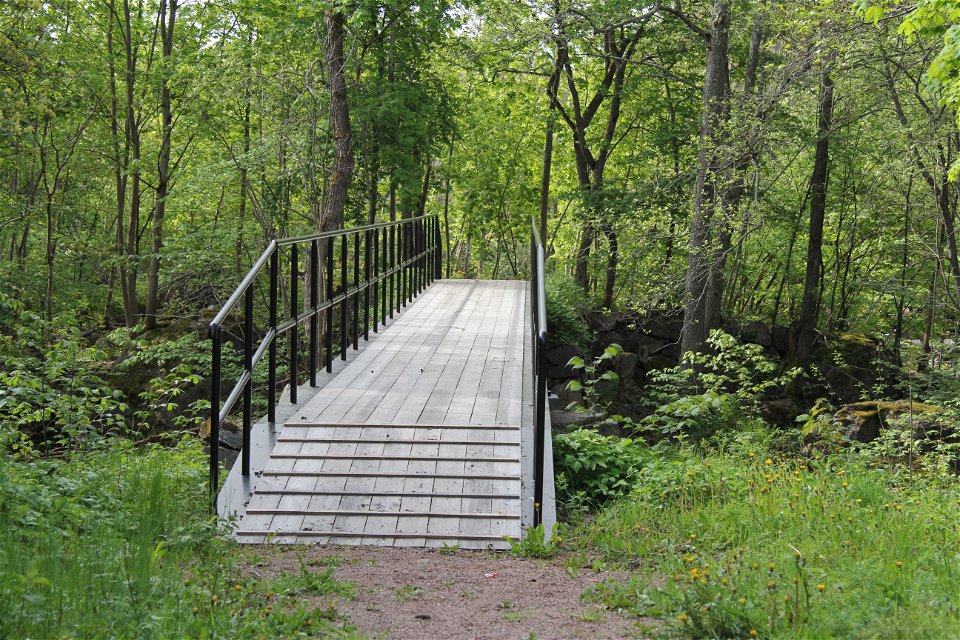 Bro som leder över ån in i skogen.