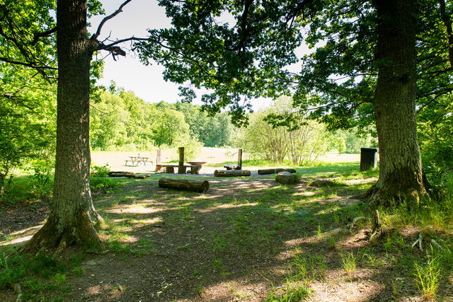 Grillplats vid Varpaängen - Sätraskogens naturreservat