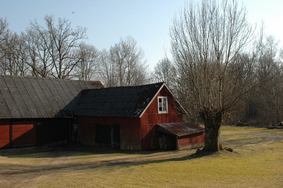 Kulturlandskap längs Bräkneån