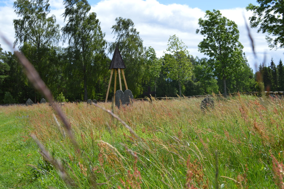 Alma Skog