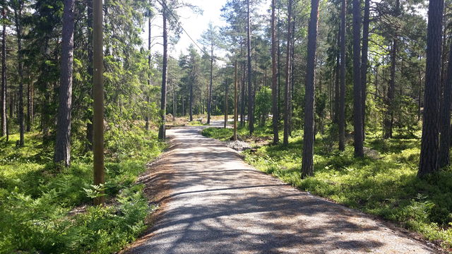 Ingarö motionsspår