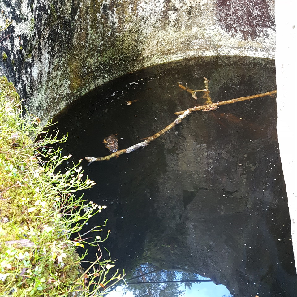 Kitteln är ofta vattenfylld